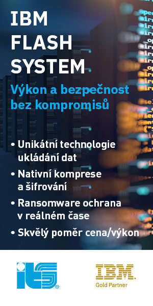 IBM Flash System (ITS)