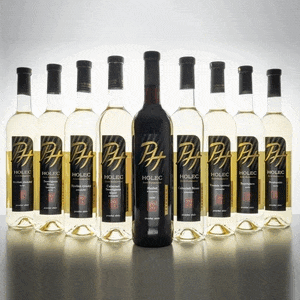 Vinařství Víno Holec