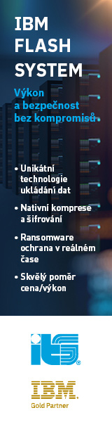 IBM Flash System (ITS)