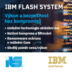 IBM Flash System (ITS)