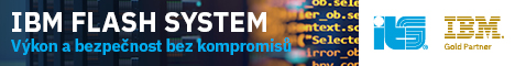 IBM Flash System (ITS)