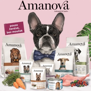Axmanova